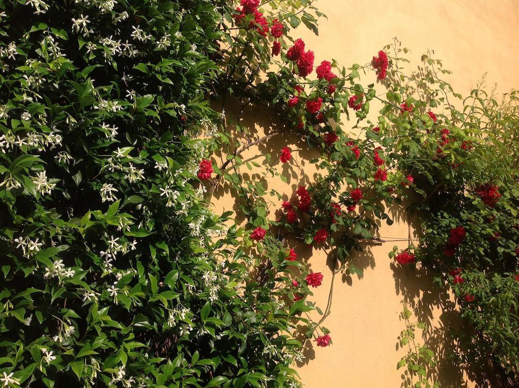 Albergo Giardinetto เบลลาโจ ภายนอก รูปภาพ