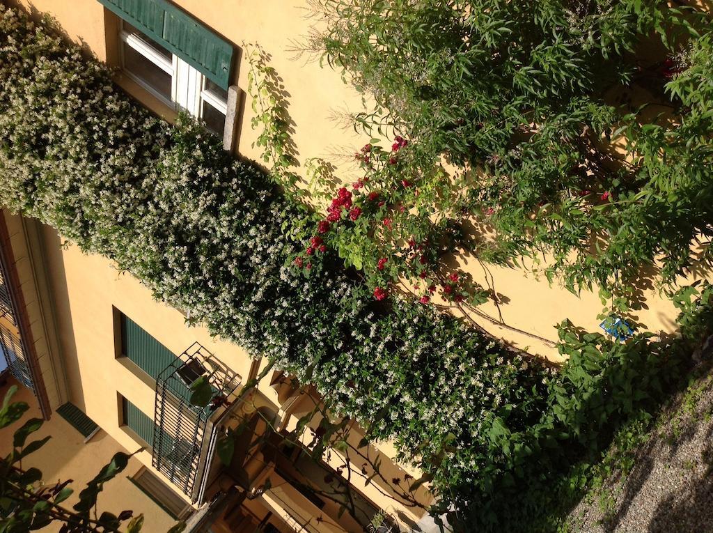 Albergo Giardinetto เบลลาโจ ภายนอก รูปภาพ